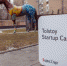 tolstoy - Searchengines.Ru