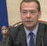 Медведев: платить придется не за тунеядство, а за соцуслуги - Вести.Ru