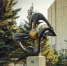 36dfe5036417ff2ed686f3b489597411.jpg - Район Коньково ЮЗАО Москвы