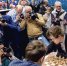 Карякин и Карлсен завершили Tata Steel Chess боевой ничьей - Вести.Ru