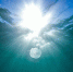Фото: pixabay.com - Район Хамовники ЦАО Москвы