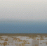 1_6.png - Департамент культуры Москвы