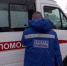 Птичий грипп в Подмосковье: к очагу инфекции не подпускают на 10 километров - Вести.Ru