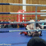 Драка на чемпионате по MMA: итог боя аннулирован, Джуманиязов дисквалифицирован - Вести.Ru