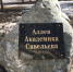 Аллея Академика Савельева - Донской район ЮАО Москвы