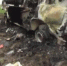 ЕС не будет расследовать подрыв машины в Донбассе - Вести.Ru