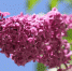 Фото: pixabay.com - Префектура ЦАО