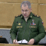 Шойгу: окончательная версия катастрофы Ту-154 установлена на 99 процентов - Вести.Ru