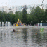 День цветов устроят 17 июня в Лианозовском парке на северо-востоке столицы - Район Ярославский СВАО Москвы