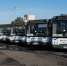 В Подмосковье могут организовать День транспорта области - M24.Ru