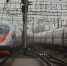 Между Москвой и Петербургом приостановлено движение поездов - Говорит Москва