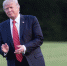 Досье на Трампа назвали дешевыми сплетнями - Вести.Ru