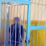 Даму с собачкой поместили в "обезьянник" - Вести.Ru