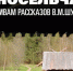 Постановку по рассказам Шукшина представят на Красноармейской - Район Аэропорт САО Москвы