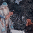 Фильм - Лосиноостровский район СВАО
