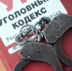 По факту смерти избитой красноярской школьницы заведено уголовное дело - Вести.Ru