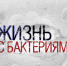Фильм телеканала "Наука" стал победителем премии "Лавр" - Вести.Ru