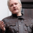 Рождественское исчезновение: Twitter вернул микроблог основателя WikiLeaks - Вести.Ru