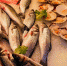 Моседа, Фестиваль, Продукты, Рыба, Сыр, Ярмарка, Московские сезоны - Район Черемушки ЮЗАО Москвы