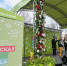 Москвичи выберут победителя конкурса "Московская весна a cappella". Фото: mos.ru - Тверской район ЦАО Москвы