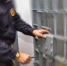 Задержана москвичка по подозрению в грабежах с использованием клофелина - Molnet.Ru