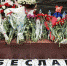 Памятно-мемориальное мероприятие «Свечи Беслана» проведут по всему северо-востоку столицы / Фото: M24.ru/Лидия Широнина - Звездный бульвар