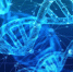 dna-3539309_960_720 - Район Чертаново Северное ЮАО