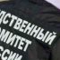 СК возбудил уголовное дело после ранения ножом школьницы в Москве - MosDay.Ru