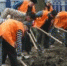 Более 19 тыс. кустарников высадят в Москве до конца весны - Ramenki.Info