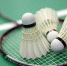 badminton turnir 01 - ГАУЗ СП №15 ДЗМ