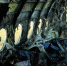 Росавиация рассказала, что произошло со сгоревшим SSJ-100 - Вести.Ru