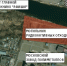 Гринпис потребовал остановить строительство Юго-Восточной хорды из-за радиации в Коломенском - Говорит Москва