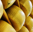 parmigiano-reggiano-1574183_1280 - Мой район