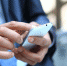 Выручка столичного B2B-сегмента Tele2 в первом полугодии 2019 года выросла на 70% - M24.Ru