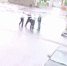 Голубой берет случайно убил докучавшего ему собрата - Вести.Ru