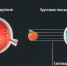 #ЭкспертГКБ15. Я ВИЖУ - Я ЖИВУ. Аккомодация [Копия от 23.08.2019 14:22:25] - ГКБ №15