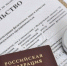 Количество ИП выросло в Москве на 9% - Molnet.Ru