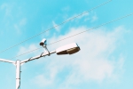 theo-thomaidis-Q1rkSa4poHM-unsplash