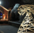 Арт-объект The Lady of Energy представят 24 января в "Аптекарском огороде" - Molnet.Ru
