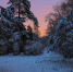 Четвероклашки из школы на Хорошевском шоссе посетили Серебряный бор - Хорошевский район САО Москвы