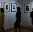 В Галерее Классической Фотографии состоится открытие выставки фотографий дикой природы NATURE PHOTO EXP - Информационный Центр