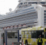 Скончались двое заболевших коронавирусом пассажиров лайнера Diamond Princess - M24.Ru