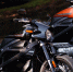 Глава Harley-Davidson лишится своего поста из-за проблем компании - Вести.Ru