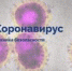 КОРОНАВИРУС: ТЕХНИКА БЕЗОПАСНОСТИ - ГБУЗ НПЦМР