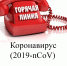 «Горячая линия» - ГБУЗ ГП №66 ДЗМ