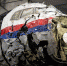 Международную следственную группу по делу MH17 возглавил замгенпрокурора Украины - Вести.Ru
