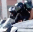Полиция нашла байкеров, катавших девушек топлес по Чебоксарам - M24.Ru