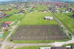 ПРОБЛЕМЫ КУКУЕВКИ