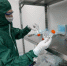 Минобороны рассказало о результатах пробной вакцинации от COVID-19 - Вечерняя Москва