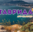 Участвуй в самом творческом фестивале «Таврида» в Крыму - Государственный университет управления